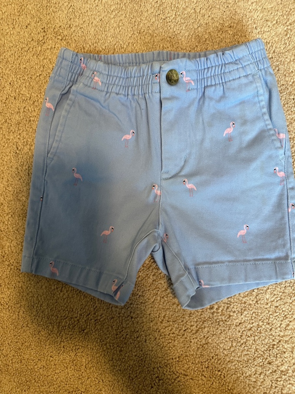 Janie and Jack Light Blue Elastic Waist Shorts